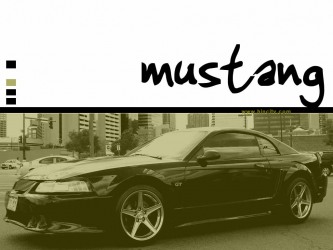 2000 Mustang GT Tuner