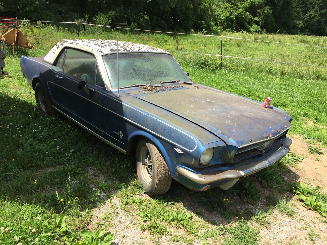 1965 Mustang Barn Find: 1965 Mustang A Code 4 Speed Factory Air Pony Interior Equalock