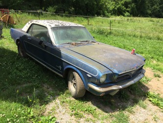 1965 Mustang Barn Find: 1965 Mustang A Code 4 Speed Factory Air Pony Interior Equalock