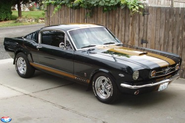 1965 GT