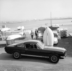 1966 Shelby Mustang GT-350H