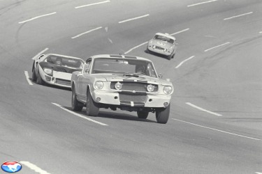 1966 GT350 Racer