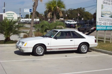 1984 20th Anniversary GT