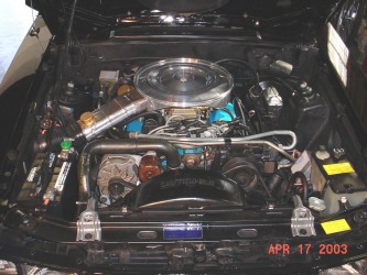 1979 Mustang engine