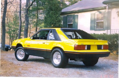 1979 Cobra