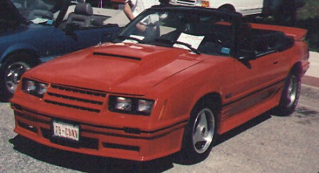 1979 Custom Convertible