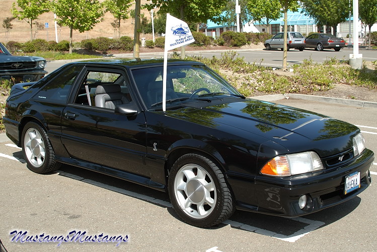 1993 Ford mustang cobra black #10