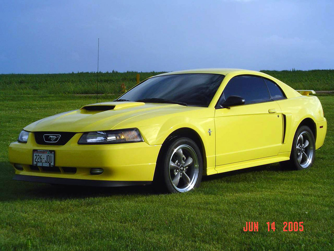 2001 GT | Ford Mustang Photo Gallery | Shnack.com