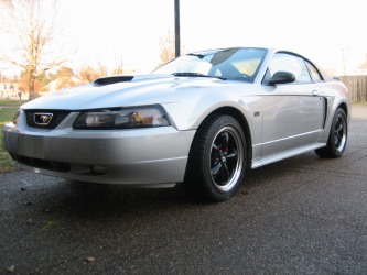 01_Stang_Front.jpg