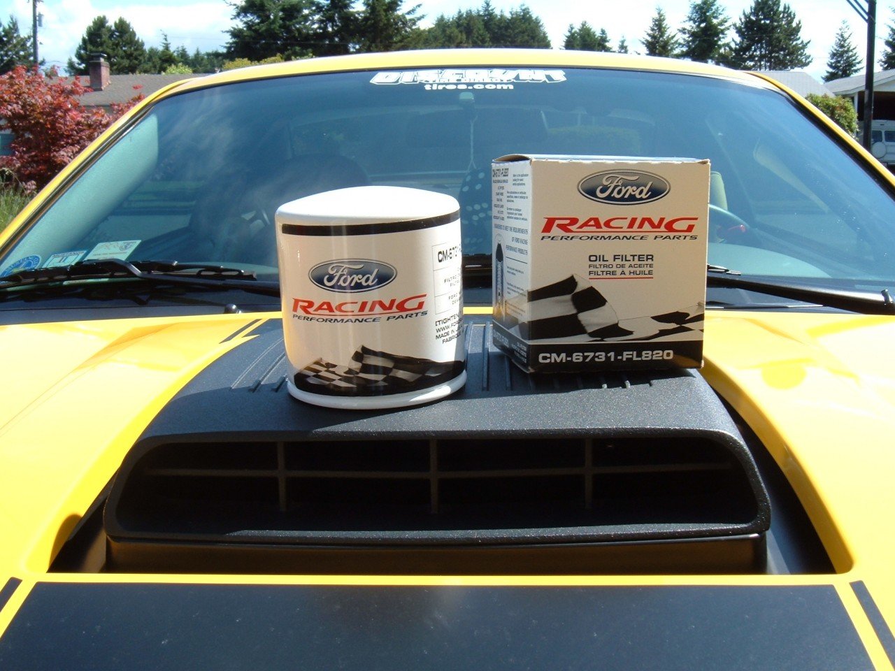 Ford Racing oil filter sitting on my Mach 1