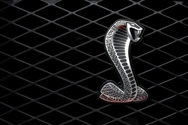 2007 Shelby GT500 grille/emblem