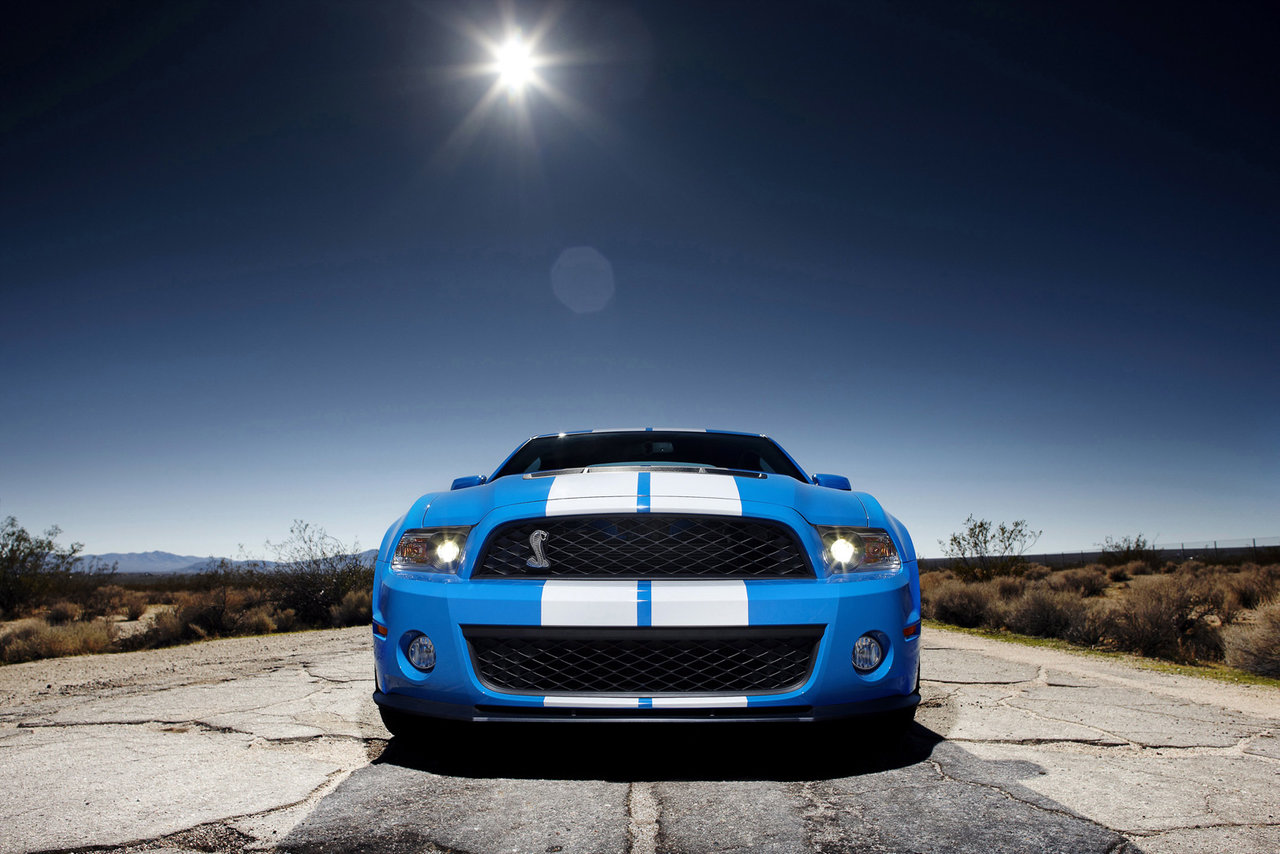 2010 Shelby GT500