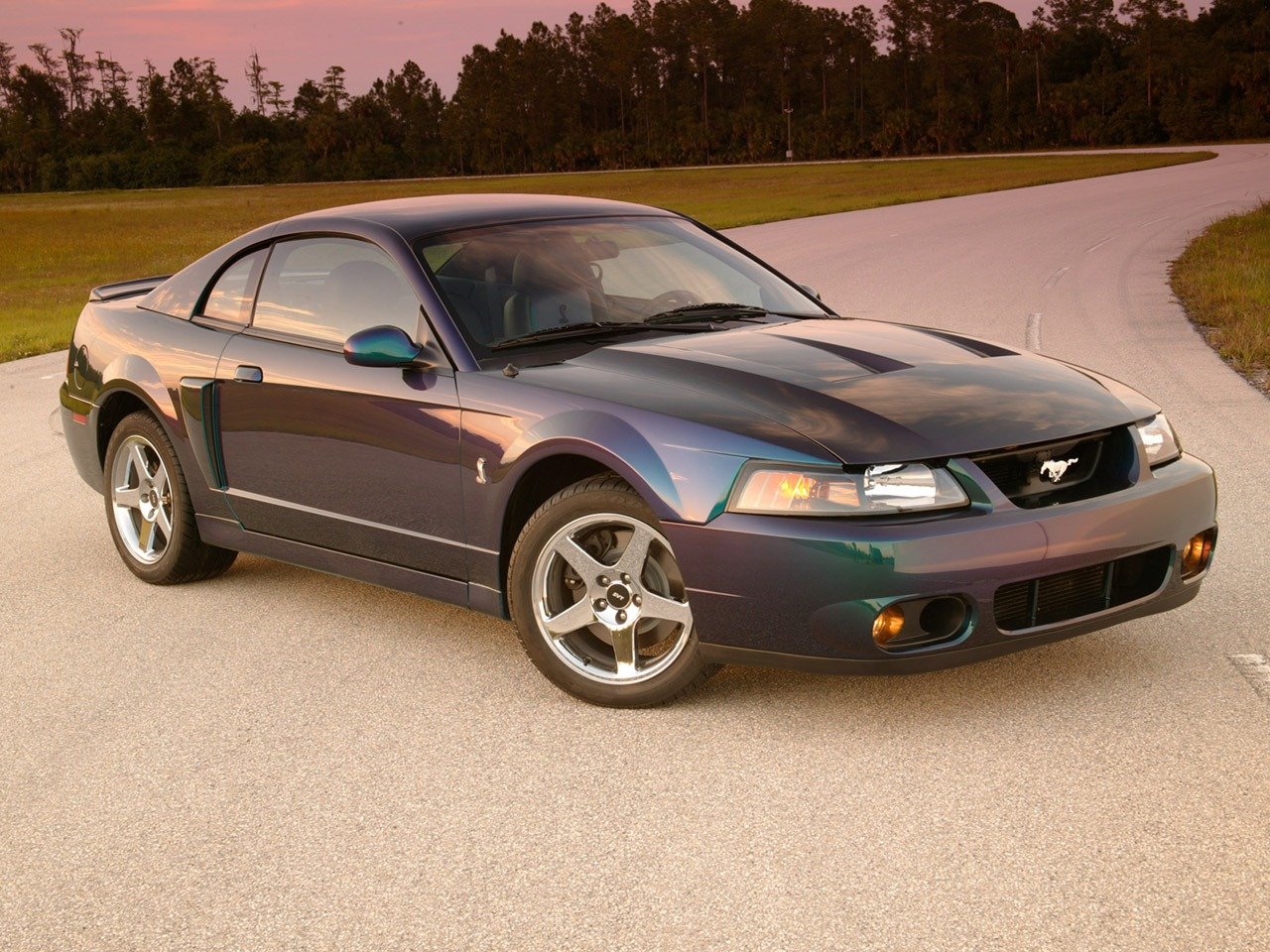 2004 Mustang Cobra Mystichrome