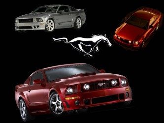 2005 Mustangs