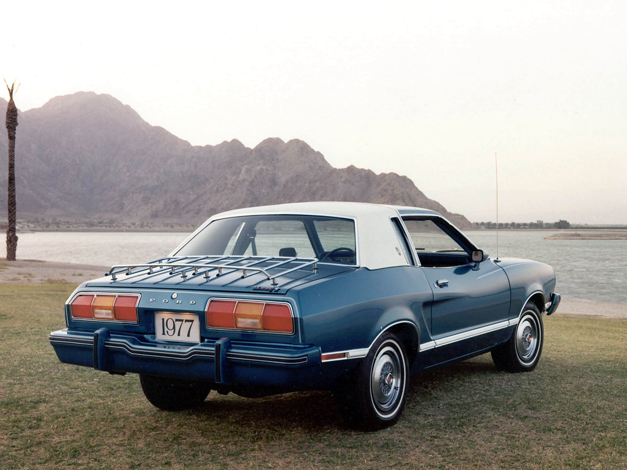 1977 Mustang Rear