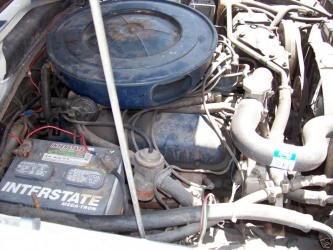 1976 Cobra engine