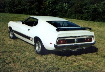 1973 Mach 1