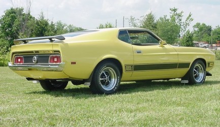 1973 Mach 1