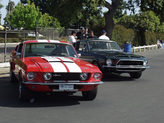 1967 GT350 & GT500