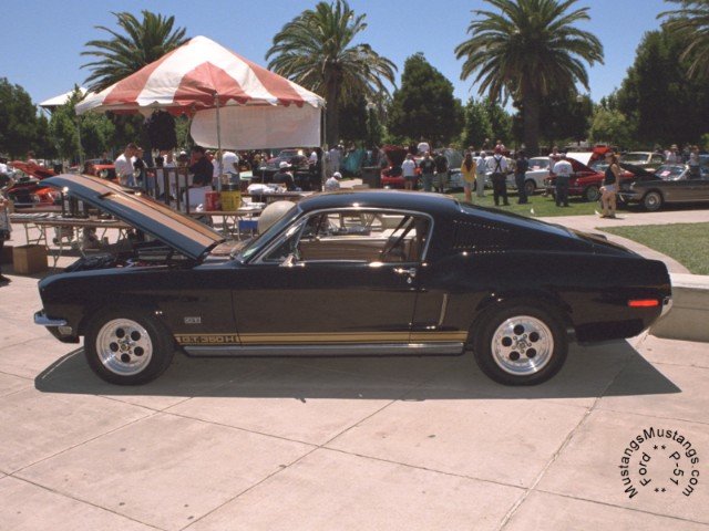 1967 Shelby GT350H