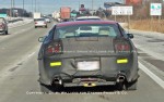 2010 Mustang spy shot