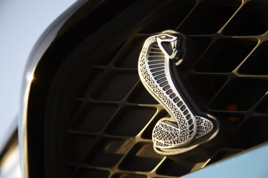 Shelby Cobra badge