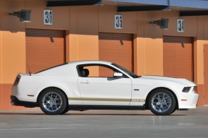 50th Anniversary Shelby GTS