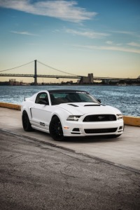 2014 Muscle Mustangs & Fast Fords Cover Car